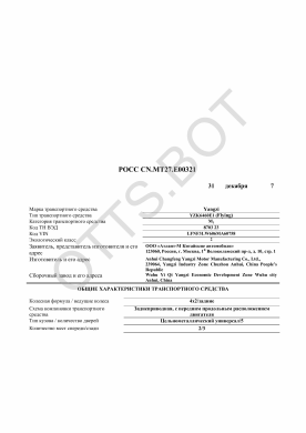 ОТТС РОСС CN.МТ27.Е00321 — превью документа