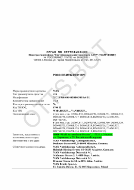 ОТТС РОСС DE.МТ02.Е06113Р1 — превью документа