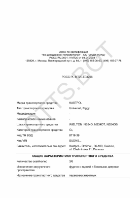 ОТТС РОСС PL.МТ20.Е03206 — превью документа