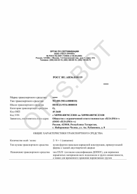 ОТТС РОСС RU.АИ36.Е00119 — превью документа