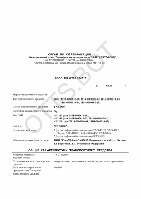 ОТТС РОСС RU.МТ02.Е04717 — превью документа