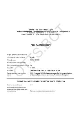 ОТТС РОСС RU.МТ02.Е06303Р1 — превью документа