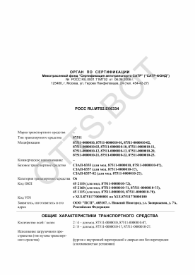 ОТТС РОСС RU.МТ02.Е06334 — превью документа