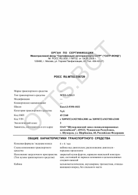 ОТТС РОСС RU.МТ02.Е06729 — превью документа
