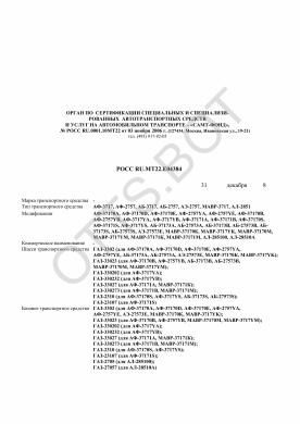 ОТТС РОСС RU.МТ22.Е04384 — превью документа