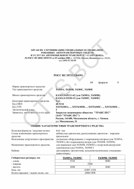 ОТТС РОСС RU.МТ22.Е04391 — превью документа