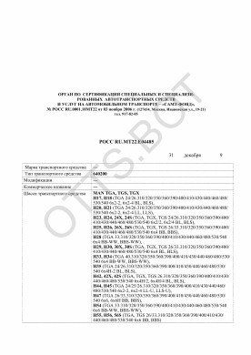 ОТТС РОСС RU.МТ22.Е04485 — превью документа