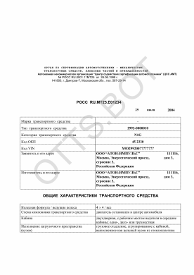 ОТТС РОСС RU.МТ25.Е01234 — превью документа