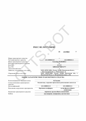 ОТТС РОСС RU.МТ27.Е00389 — превью документа