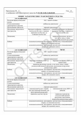 ОТТС ТС RU Е-RU.ГА06.01220 — превью документа