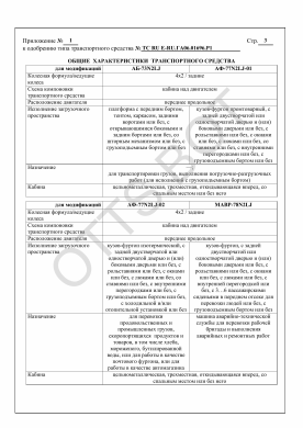 ОТТС ТС RU Е-RU.ГА06.01696.Р1 — превью документа