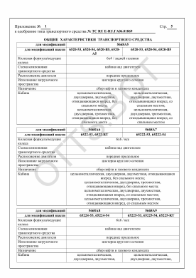 ОТТС ТС RU Е-RU.ГА06.01869 — превью документа