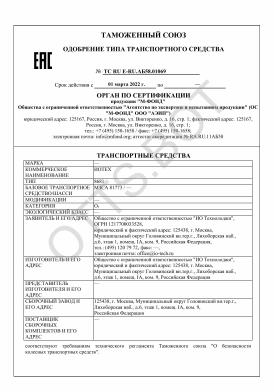 ОТТС ТС RU E-RU.АБ58.01069 — превью документа