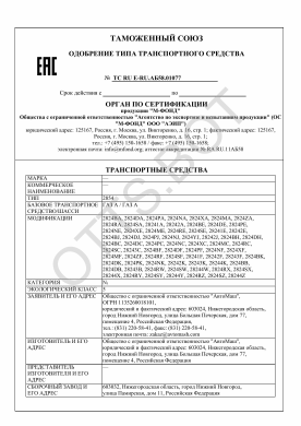 ОТТС ТС RU E-RU.АБ58.01077 — превью документа