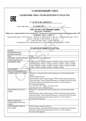 ОТТС ТС RU E-RU.АБ58.01113 — превью документа