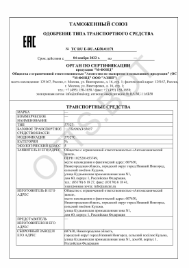 ОТТС ТС RU E-RU.АБ58.01171 — превью документа