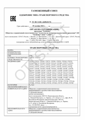 ОТТС ТС RU E-RU.АБ58.01176 — превью документа
