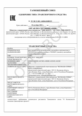 ОТТС ТС RU E-RU.АЖ04.01089.Р1 — превью документа