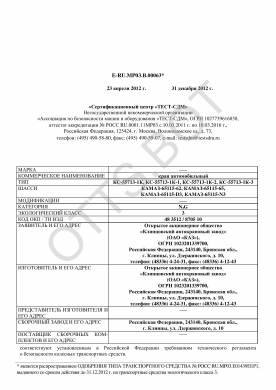 ОТТС ТС RU E-RU.МР03.В.00063 — превью документа