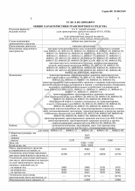 ОТТС ТС RU E-RU.МР03.00973 — превью документа