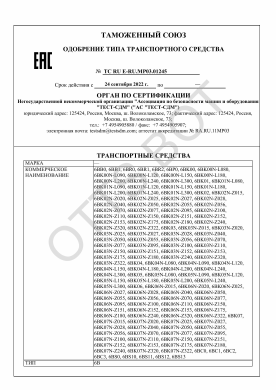ОТТС ТС RU E-RU.МР03.01245 — превью документа
