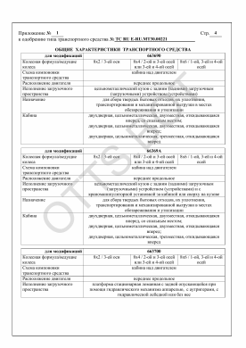 ОТТС ТС RU E-RU.МТ30.00221 — превью документа