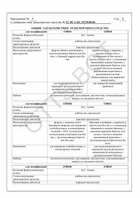 ОТТС ТС RU E-RU.МТ30.00306 — превью документа