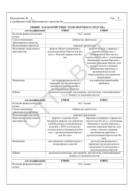 ОТТС ТС RU E-RU.МТ30.00309 — превью документа
