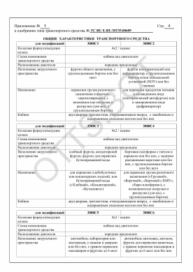ОТТС ТС RU E-RU.МТ35.00609 — превью документа