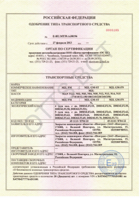 ОТТС ТС RU E-RU.МТ39.А.00196 — превью документа