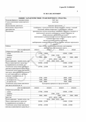 ОТТС ТС RU E-RU.МТ39.00297 — превью документа