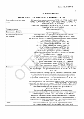 ОТТС ТС RU E-RU.МТ39.00517 — превью документа