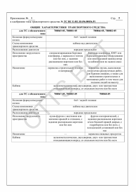 ОТТС ТС RU E-RU.НА96.00036.Р1 — превью документа
